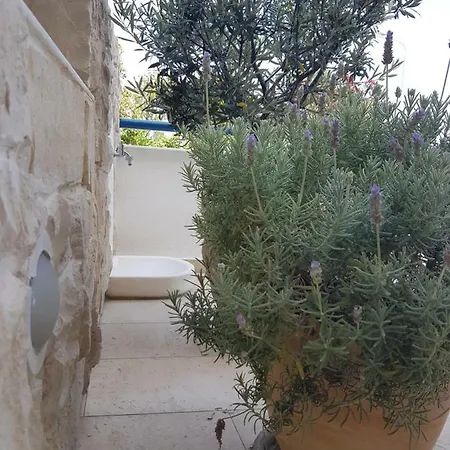 Coquille Appartement Kavala