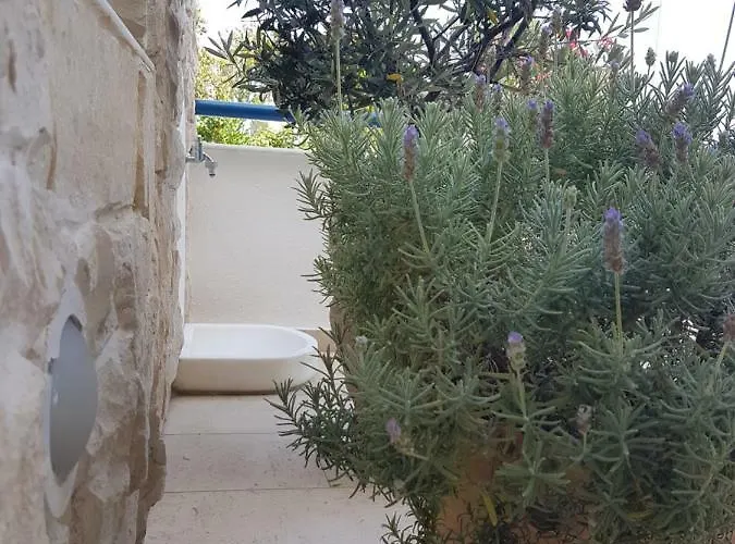 Coquille Appartamento Kavala